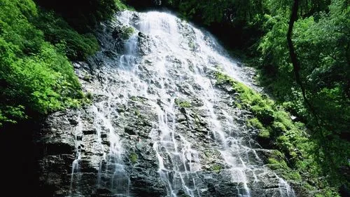 自动化高性能